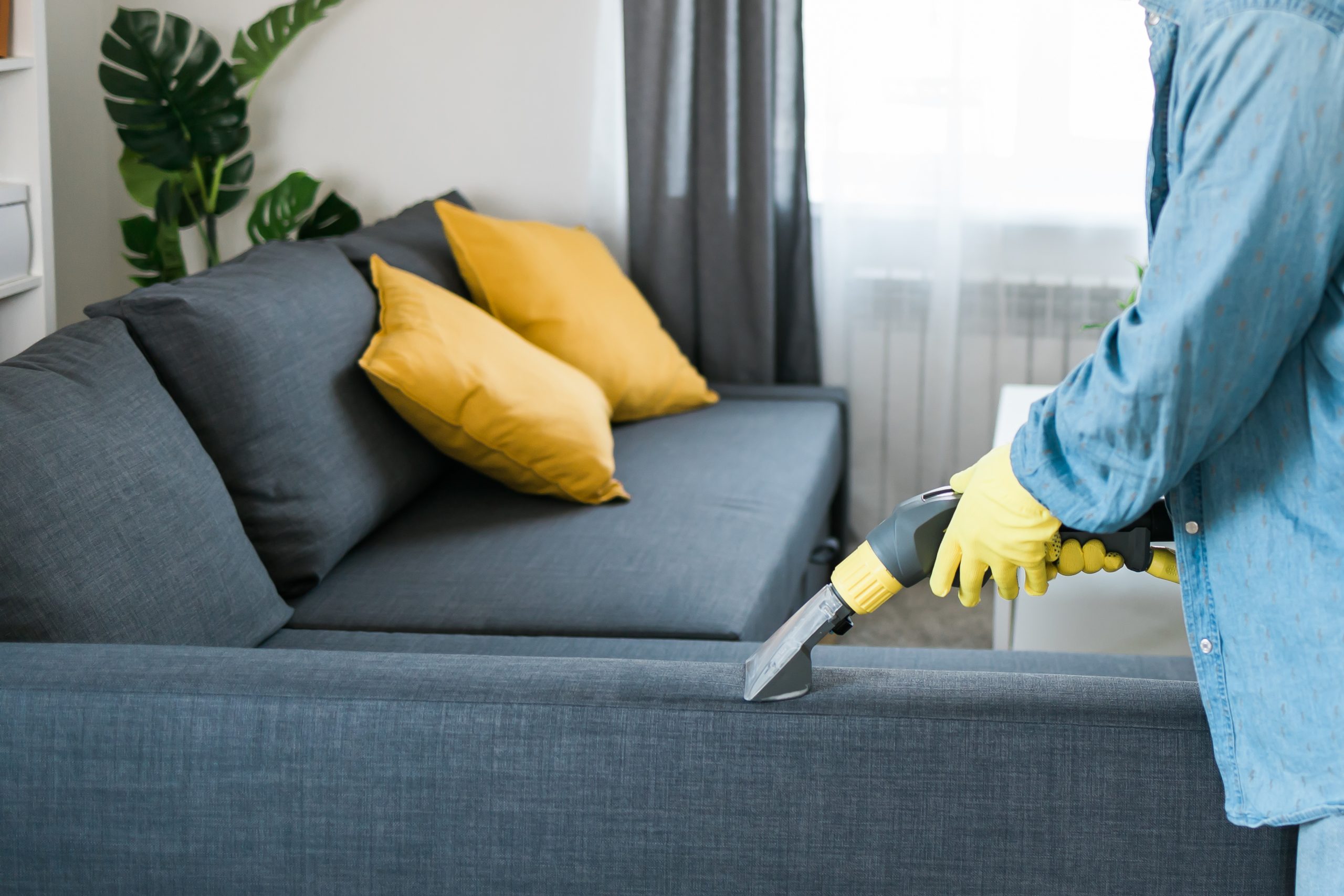 sofa cleaning service