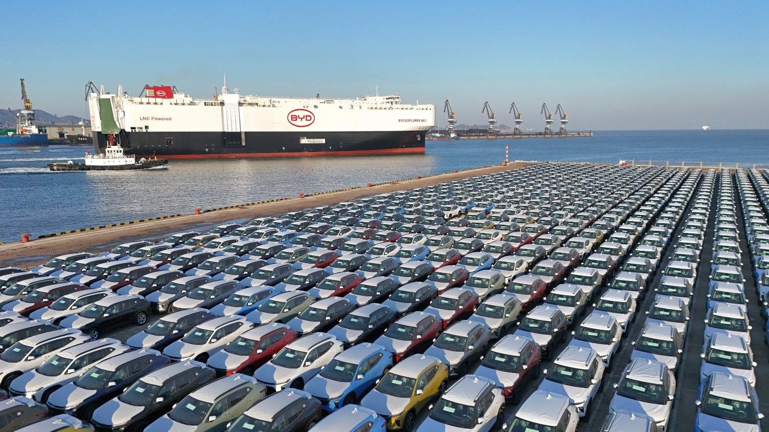 byd port